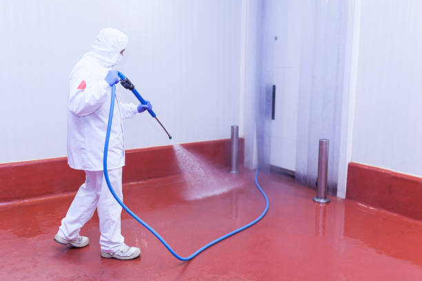 Reliable Burlington, VT Pressure Washing Services Solutions
